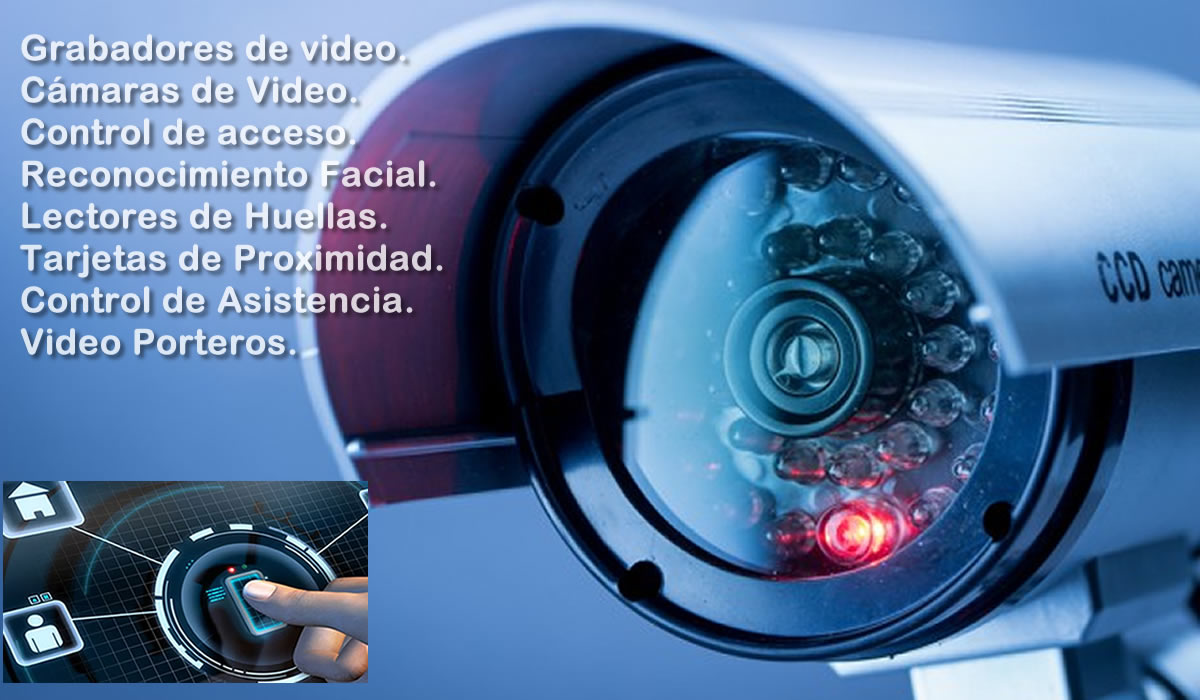 Seguridad Electronica